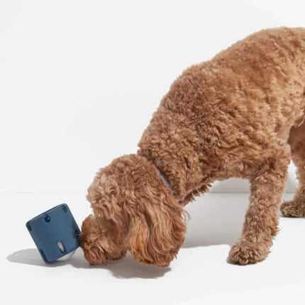 Interactief Apporteer & Kauwspeeltje voor Honden | Duurzaam & Kauwbestendig | Inclusief Tennisbalhouder | Huisdiervriendelijk & Niet-Giftig | Mentale & Fysieke Stimulatie