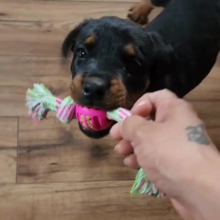 Interactief kauwspeelgoed hond | Sterk rubber met rijk touw | Bevordert tandgezondheid en actieve speeltijd | Geschikt voor alle honden | 18 cm