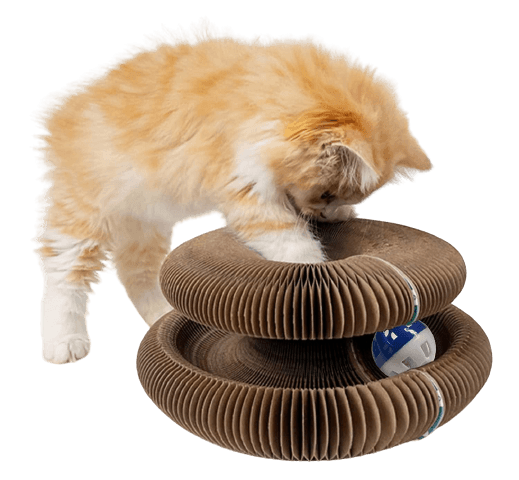 Kattenspeelgoed CatCastle | Duurzaam Krabplankontwerp voor Bescherming en Speelplezier