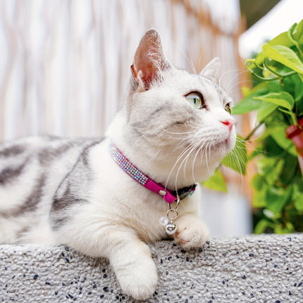Rhinestone kattenhalsband verstelbaar 20-31 cm | Veiligheidsbuckle | Met bel | Zacht kunstleer | Voor kittens en volwassen katten
