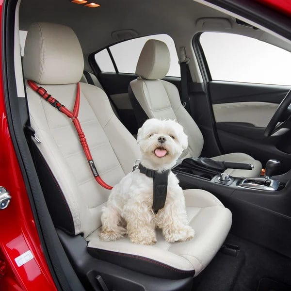 PetSafe verstelbare autogordel voor honden | Geschikt voor alle auto's | Veilig vervoeren van huisdieren | Verstelbaar 45-65 cm | Comfortabele en duurzame honden autoriem