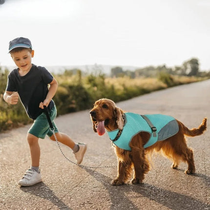 Honden Koelvest | Meerlaags Ontwerp | Verstelbare Pasvorm | Reflecterend | Bescherming Tegen Oververhitting | Oxford Koeldoek | Hemelsblauw/Grijs | Maten S-XL