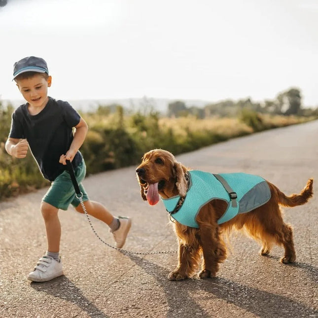 Honden Koelvest | Meerlaags Ontwerp | Verstelbare Pasvorm | Reflecterend | Bescherming Tegen Oververhitting | Oxford Koeldoek | Hemelsblauw/Grijs | Maten S-XL