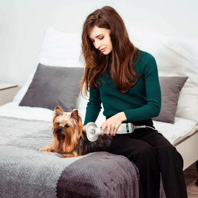 VelvetPaws QuickDry Styler | Stilte Technologie | 2-in-1 Droger en Borstel | Verstelbare Warmte | Huisdier Vachtverzorging | Ontwikkeld voor Comfort en Knuffels | Stressvrije Ervaring