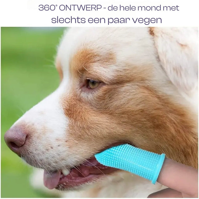 Zachte Siliconen Borstelharen voor Huisdier | Gemakkelijk Handvat Design | Duurzaam Siliconen | Roze, Blauw, Wit