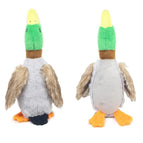 Voeten