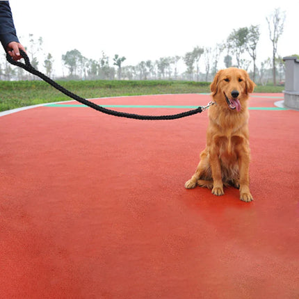 Duurzame Gevlochten Nylon Hondenlijn | Veilige Gesp | Meerdere Kleuren en Maten | Sterke Grip | Voor Middelgrote en Grote Honden