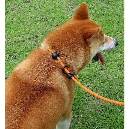 Reflecterende Gevlochten Nylon Looplijn | Glow-In-Dark Veiligheid | Comfortabele Zachte Grip | Ademend Duurzaam | Ideaal voor Nachtelijke Wandelingen en Training | 170cm - Oranje/Zwart/Groen