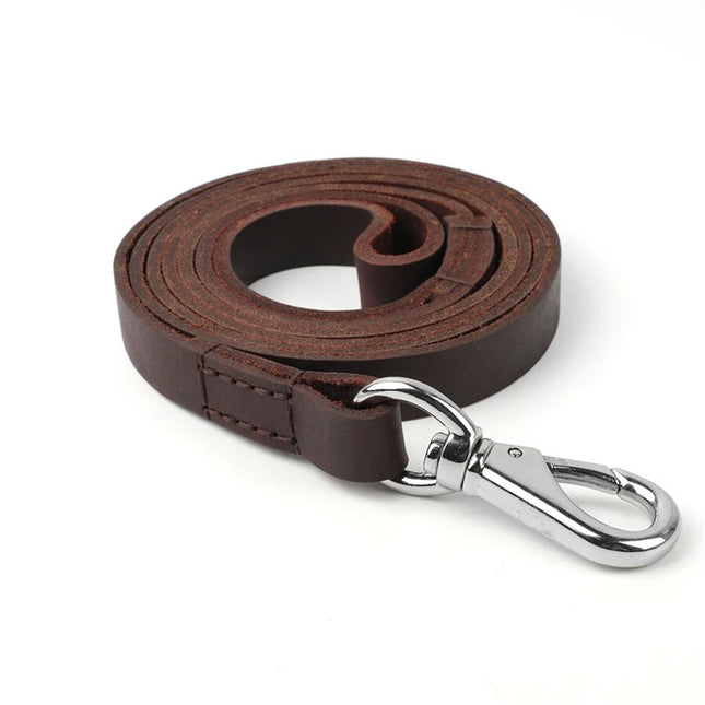 Luxe Leren Riem | Stevig & Duurzaam | Comfortabel Voor Grote Honden | Koffiekleur | 146cm Lang
