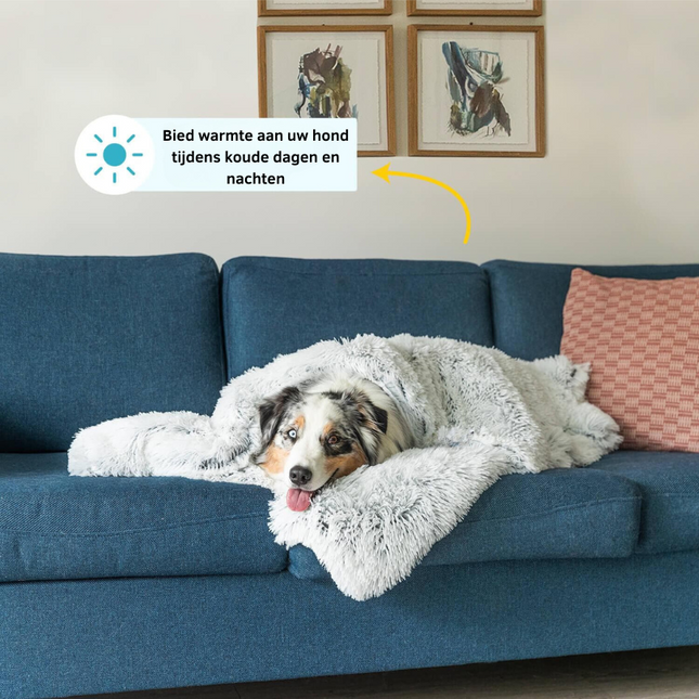 Buddy | Luxe Zachte Honden Deken | Slaapverbeteraar | Chemicaliënvrij | Veelzijdige Huisdecoratie