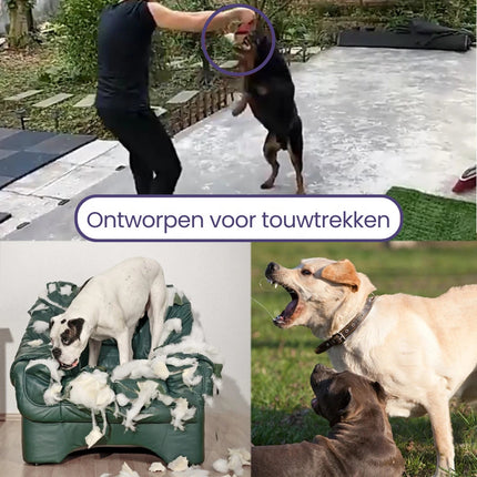 Hondentrainingskussen met Touwgrepen | Duurzaam Kauwspeelgoed | Veerkrachtig Bijtspeeltje voor Honden