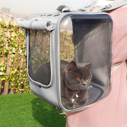 Huisdierdrager voor katten en kleine honden | Ademend en transparant ontwerp | Comfortabele en veilige vervoerstas met handgreep en schouderband