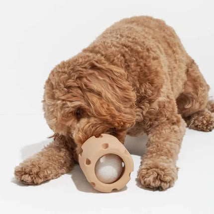 Interactief Apporteer & Kauwspeeltje voor Honden | Duurzaam & Kauwbestendig | Inclusief Tennisbalhouder | Huisdiervriendelijk & Niet-Giftig | Mentale & Fysieke Stimulatie