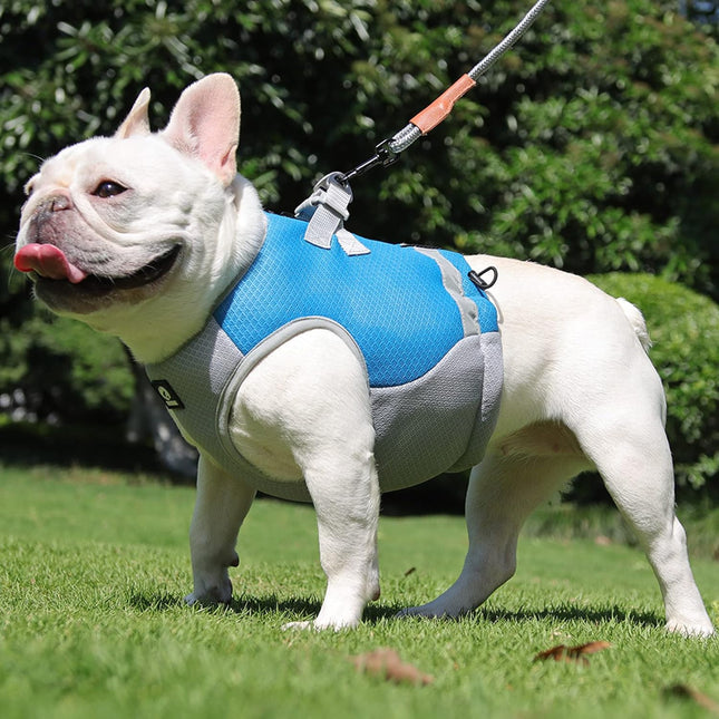 Verstelbaar Reflecterend Koelvest Voor Honden | Limegroen, Blauw, Oranje | Comfortabel op Warme Dagen | Snel Afneembare Hondentop | Geschikt Voor Wandeling, Training, Shows | D-Ring Voor Riem