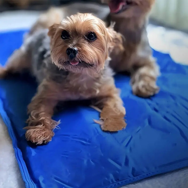 Koelmat voor Honden | Drukgeactiveerde Gel | Niet-Giftig en Veilig | Duurzaam en Onderhoudsvriendelijk | Beschikbaar in Maten S-XL