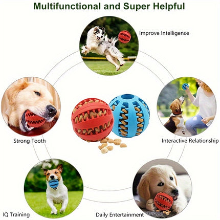 Hondenspeeltje | Kauwspeelbal voor Kleine Honden | Interactieve Elastische Voerbal | Tandreiniging | Plastic | Huisdieraccessoires