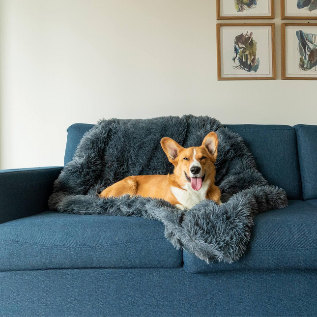Buddy | Luxe Zachte Honden Deken | Slaapverbeteraar | Chemicaliënvrij | Veelzijdige Huisdecoratie