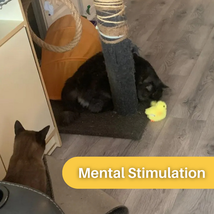 Interactie Katten Speelgoed | Elektrische Fladderende Eend | Rekenbaar USB | Quack Buddy™ | Voor Fysieke Activering en Jacht | Duurzaam Huisdierentertainment