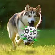 Duurzame Apporteerbal met Grijplipjes | Interactief Kauwspeelgoed voor Honden | Rubberen Voetbal voor Middelgrote en Grote Honden | Binnen- en Buitenplezier | Bevordert Gezond Gebit