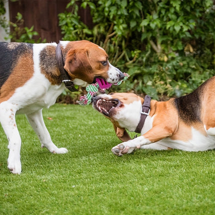 Interactief kauwspeelgoed hond | Sterk rubber met rijk touw | Bevordert tandgezondheid en actieve speeltijd | Geschikt voor alle honden | 18 cm