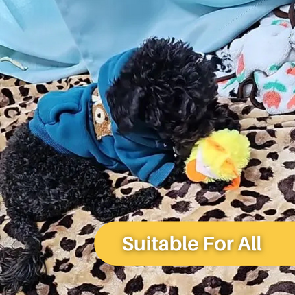 Interactie Katten Speelgoed | Elektrische Fladderende Eend | Rekenbaar USB | Quack Buddy™ | Voor Fysieke Activering en Jacht | Duurzaam Huisdierentertainment