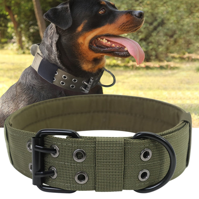 Verstelbare hondenhalsband van sterk nylon | Geschikt voor grote honden | Duurzaam, comfortabele pasvorm en stevige gespsluiting | Maten M, L, XL