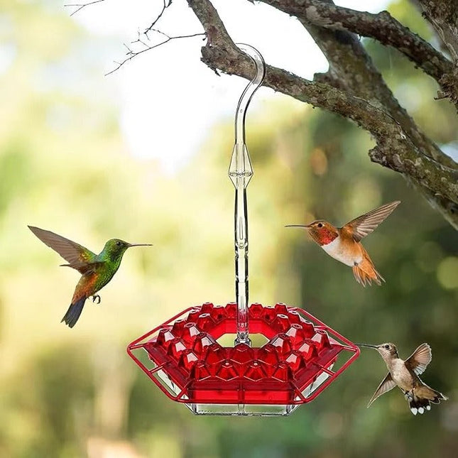Honey Bird Feeder | 30 Feeding Holes | Hanging Design | Built-in Anti-Fever Device | UV-Resistant | Easy to Clean | Attractive Colors | Ideal for Garden or Balcony | Pet Supplies