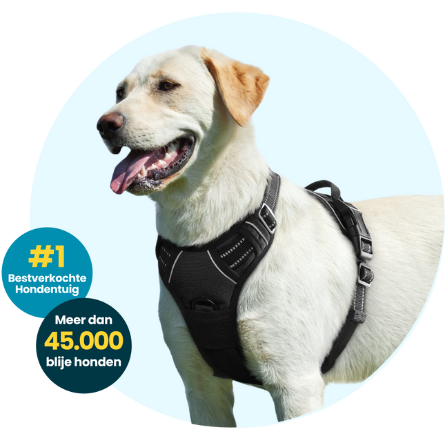 Anti-Pull Dog Harness | Comfortable & Safe | Adjustable | Breathable Material | For Dogs in Training | Reflective Elements | Stress-Reducing Walking | Durable & Reliable Design