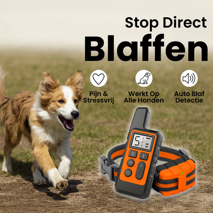 Addestratore di obbedienza per cani | Collare antiabbaio ricaricabile con telecomando