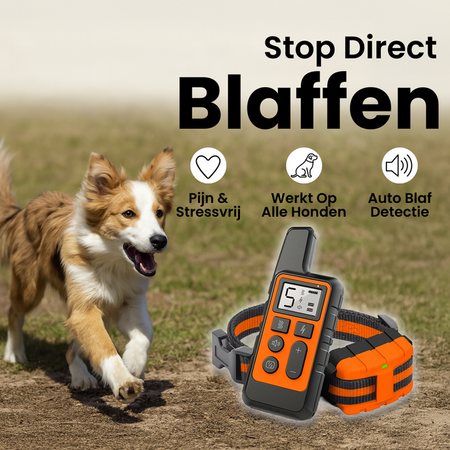 Addestratore di obbedienza per cani | Collare antiabbaio ricaricabile con telecomando