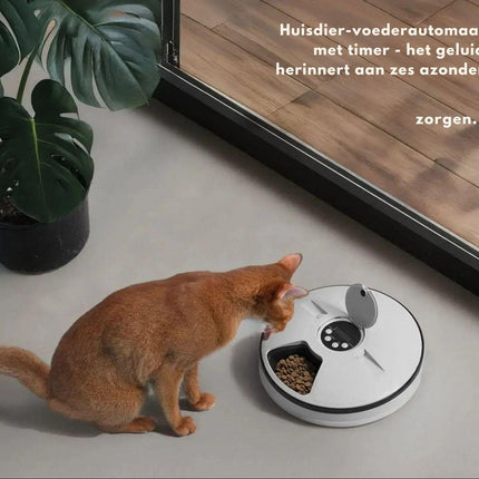 Automatic Feeder | Timer-Controlled Dispenser for Cats and Puppies