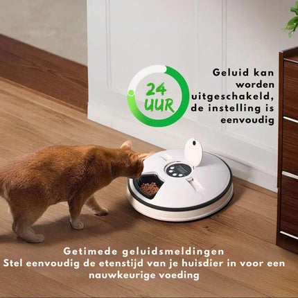 Automatic Feeder | Timer-Controlled Dispenser for Cats and Puppies