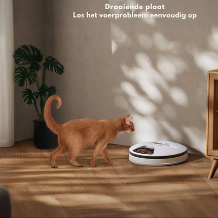 Automatic Feeder | Timer-Controlled Dispenser for Cats and Puppies