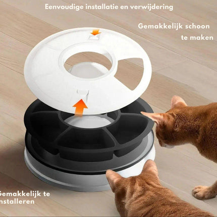 Automatic Feeder | Timer-Controlled Dispenser for Cats and Puppies