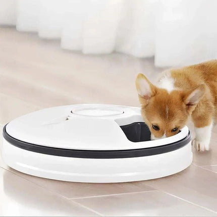 Automatic Feeder | Timer-Controlled Dispenser for Cats and Puppies