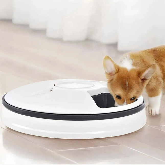 Automatische Voedermaat | Timergestuurde Dispenser voor Katten en Puppy’s