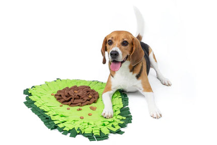 Sasha Avocado Snuffelmat | Stimulerende Voedingservaring voor Honden | Duurzaam en Veilig | 60x45 cm | Groen | Geschikt voor Alle Leeftijden