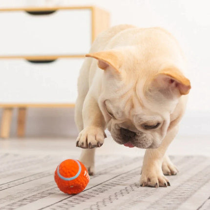 Joulie Speelgoed voor Honden | Sterk en Duurzaam | Ideaal voor Krachtige Kauwers