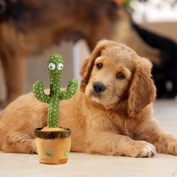Interactieve Pratende Cactus voor Honden | Geluid en Beweging | Duurzaam Pluche | Oplaadbaar Speelgoed voor Mentale Stimulatie en Vermaak