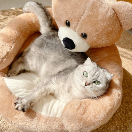 CuddleBear kattenbed van pluche | Zacht en comfortabel berenvormig kattenmandje | Machinewasbaar bed voor kleine en middelgrote katten | 46x46 cm of 57x57 cm