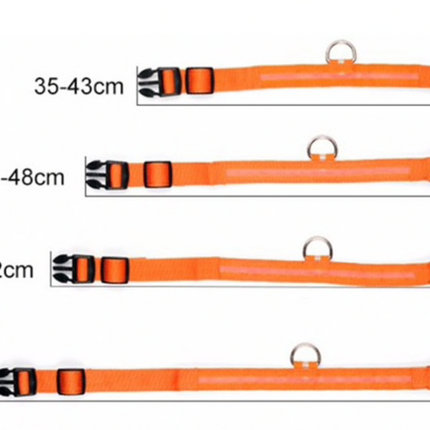 LED-halsband hond | Verhoogde zichtbaarheid in het donker | Meerdere en | Oplaadbaar | Duurzaam en waterbestendig | Geschikt voor alle hondenmaten