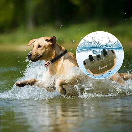 Collar de adiestramiento para perros | Ajustable | Alcance de 670 m | Resistente al agua | Comunicación inalámbrica | Batería de larga duración | Funcionamiento intuitivo | Modos de adiestramiento versátiles | Seguro y duradero