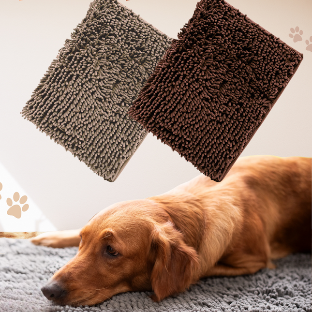 CleanPaw | Hou Je Huis Schoon, Voorkom Modderige Pootafdrukken Na Wandelingen Met Je Hond
