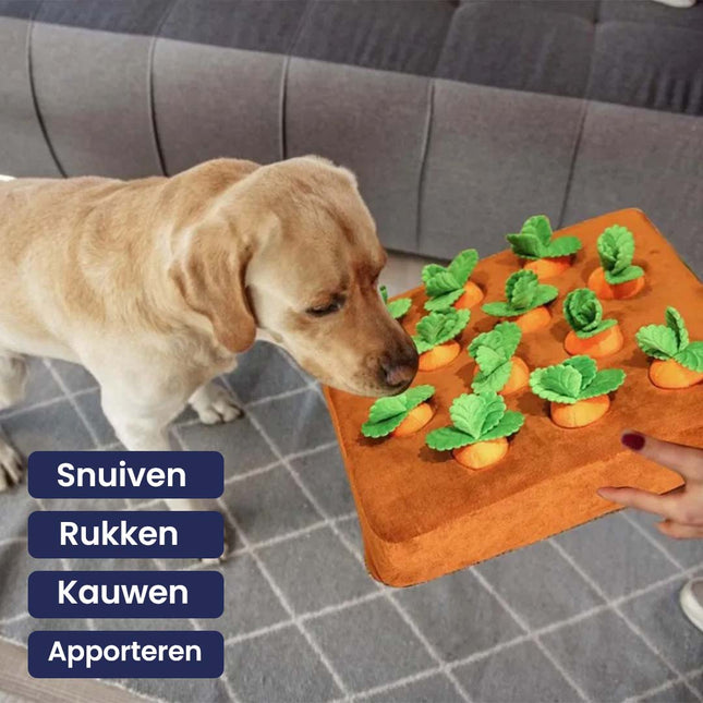 Hondenspeeltje | Interactief | Snuffelmat Wortel | Mentale Stimulatie | Voor Training en Vermaak | Bevordert Natuurlijke Instincten | Met Verborgen Traktaties
