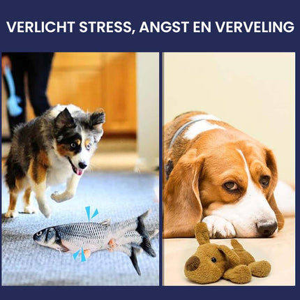 Interactieve Bewegende Vis Met Sensor | USB-oplaadbaar | Speelgoed Hond | Realistisch Uiterlijk | Inclusief Kattenkruid
