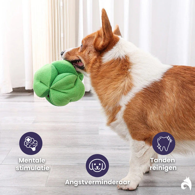 Interactief Snuffelspeelgoed voor Honden | Broccoli Vorm | Mentale Stimulatie | Vertraagt Eten | Duurzaam en Veilig | Makkelijk Schoonmaken | Uitdaging bij Snacktijd | Geschikt voor Alle Hondenmaten