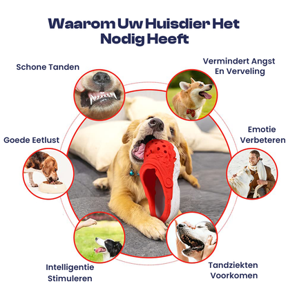 Duurzaam Kauwspeeltje Hond | Veilig Natuurrubber | Agressief Kauwen | Bevordert Gebitsgezondheid | Levendige Kleuren | Perfect voor Apporteren en Touwtrekken | Speels Pantoffelontwerp | Groot Formaat | Onverwoestbaar en Niet-Giftig