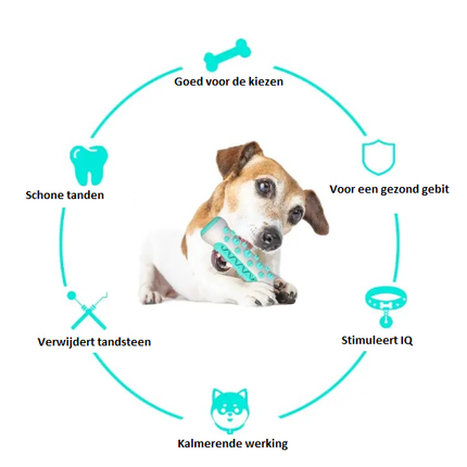 Interactieve Traktatie Speelrol Hond | Duurzaam Rubber | Verrijkend Speelgoed Tegen Verveling | Tandenreinigend | 20 cm | Geschikt voor Alle Rassen