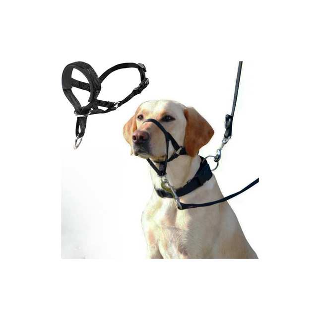 QuietFit Nylon Hondenmuilband | Verstelbaar en Comfortabel | Beschikbaar in Meerdere Kleuren en Maten S tot 2XL