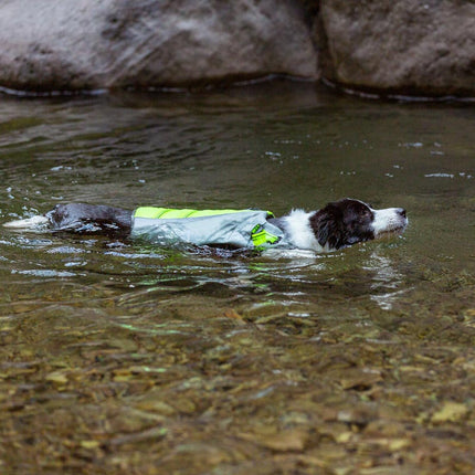 FloatBuddy hondenzwemvest | Verstelbaar en veilig zwemvest voor honden | Comfortabel met handgreep en reflecterende strips | Ideaal voor zwemmen en watersport